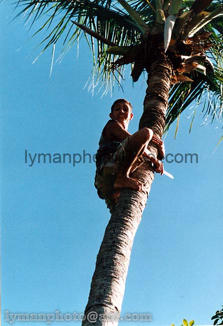 Cos374_2-12_10-29-02